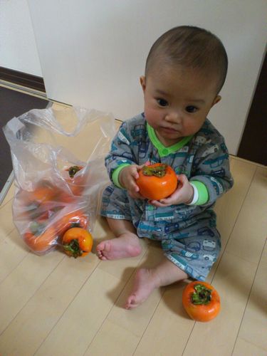 柿好き赤ちゃん